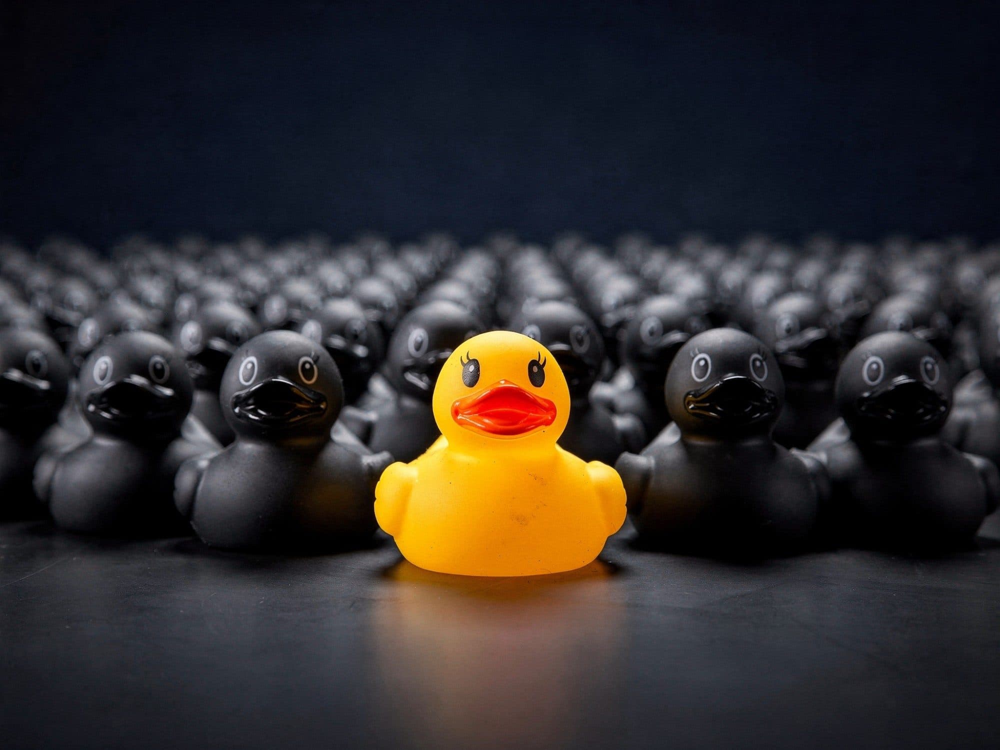 One yellow rubber duck stands out from a large crowd of black rubber ducks